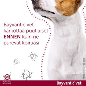 Bayvantic vet 250/1250 mg 4 x 2.5 ml paikallisvaleluliuos koirille 10–25 kg