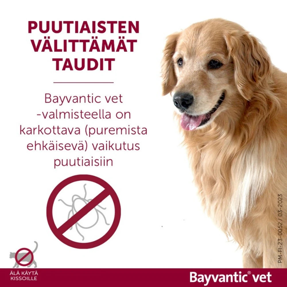 Bayvantic vet 250/1250 mg 4 x 2.5 ml paikallisvaleluliuos koirille 10–25 kg