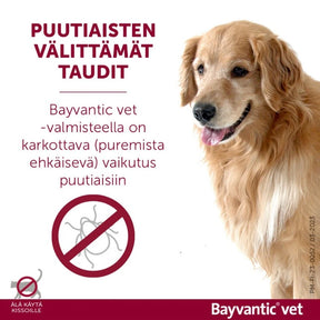 Bayvantic vet 250/1250 mg 4 x 2.5 ml paikallisvaleluliuos koirille 10–25 kg