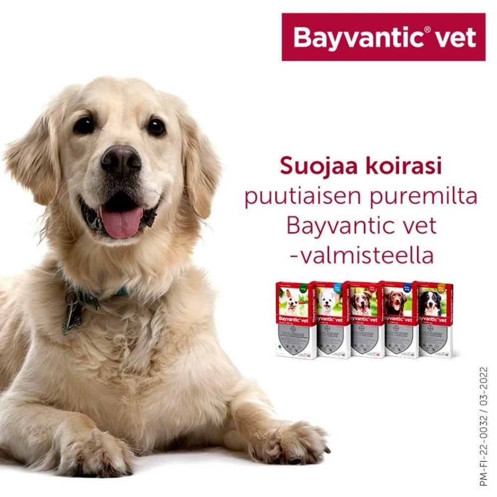 Bayvantic vet 250/1250 mg 4 x 2.5 ml paikallisvaleluliuos koirille 10–25 kg