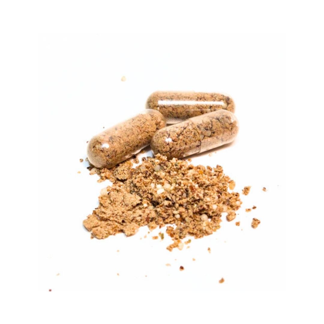Bellylabs Pre+Pro 60 kapselia koiralle