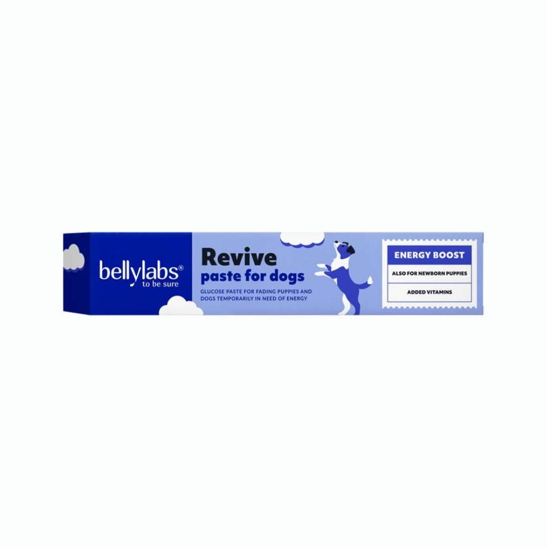 Bellylabs Revive pasta 30 ml koiralle