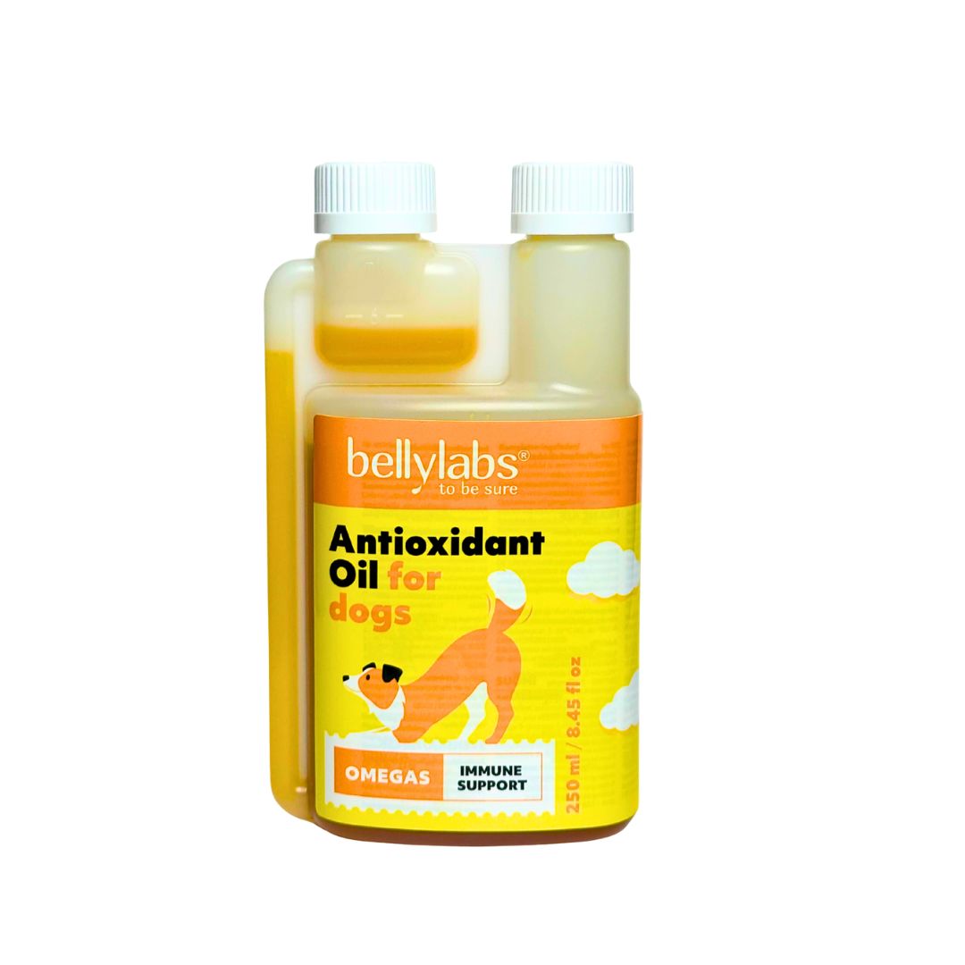 Bellylabs Antioxidanttiöljy 250 ml koiralle