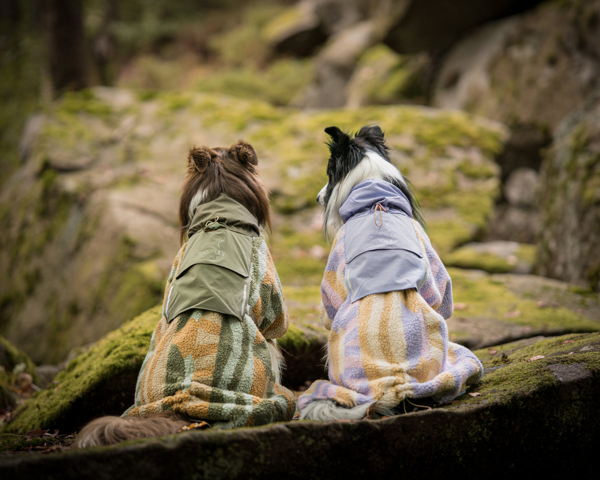 Woolly Wolf Borealis Pile koiran fleecetakki
