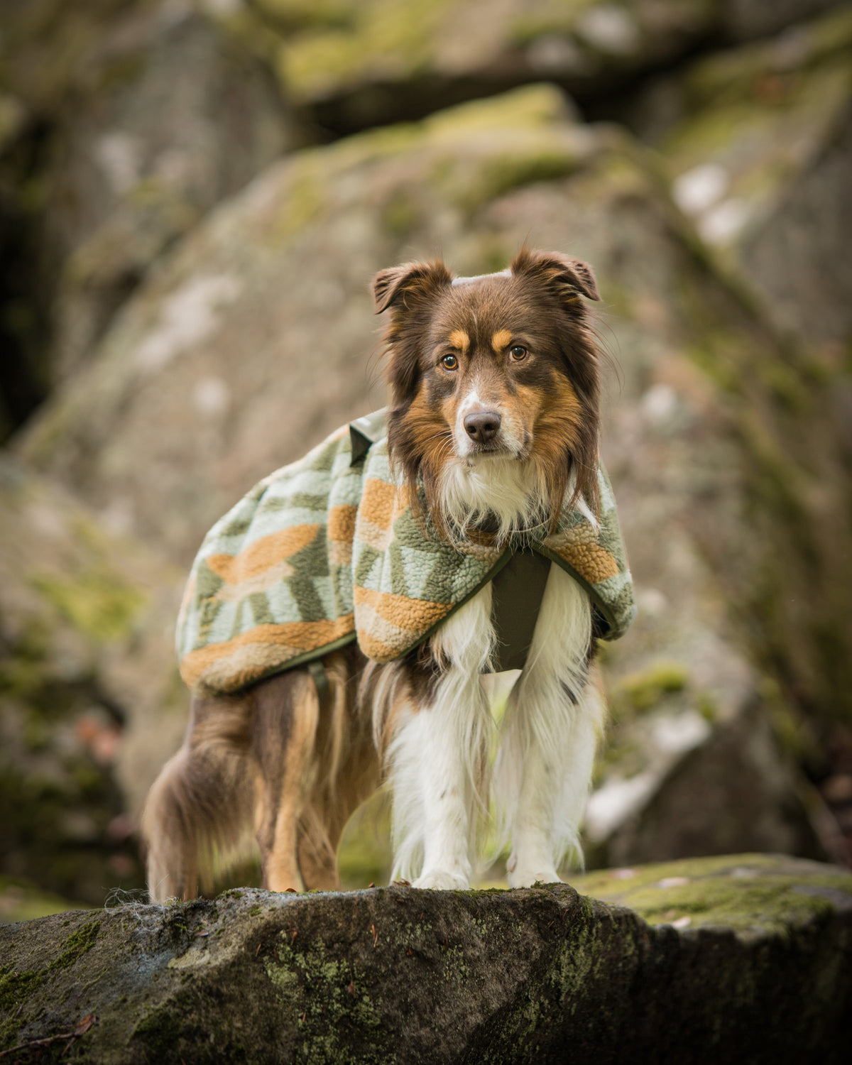 Woolly Wolf Borealis Pile koiran fleecetakki