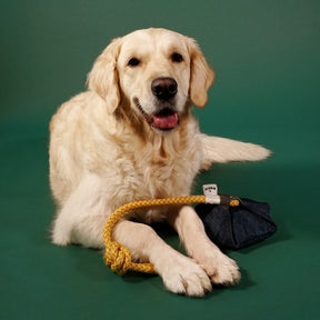 Alvar Pet Uusiolelu Puuha