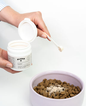 Alvar Pet Calm+ lisäravinne koiralle ja kissalle 75 g