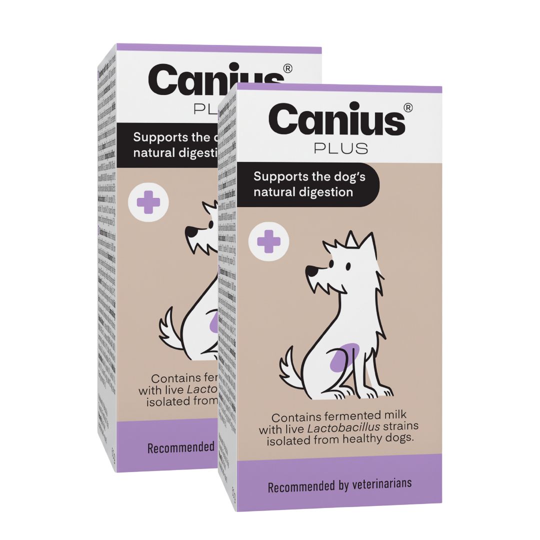 Canius Plus koiralle 2 x 60 g TUPLAPAKKAUS