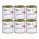 Brit Veterinary Diet Gastrointestinal Salmon koiralle 6 x 200 g