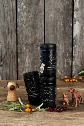 Chia de Gracia CdG Sea buckthorn Tyrniöljykapselit koirille 60 kpl