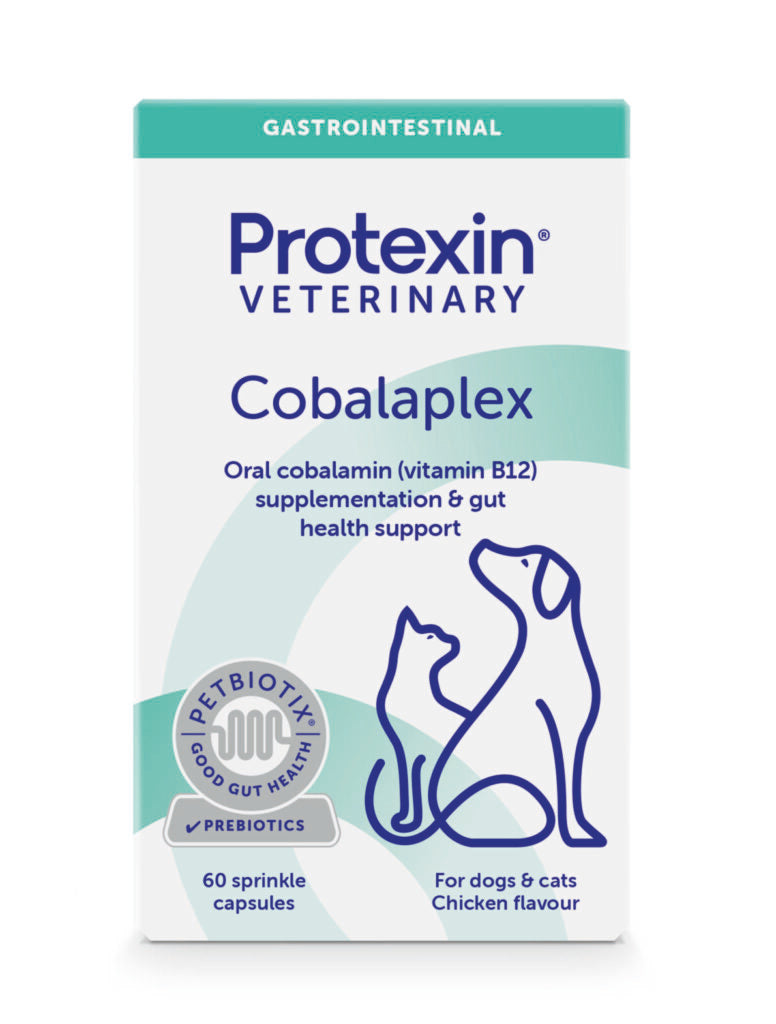 Protexin Veterinary Cobalaplex kissalle ja koiralle 60 kapselia