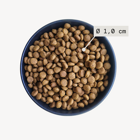 Alvar Pet Derma/Insect koiran kuivaruoka 2 x 7 kg SÄÄSTÖPAKKAUS