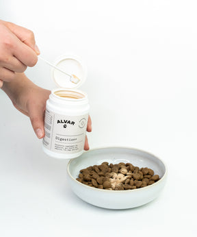 Alvar Pet Digestion+ lisäravinne koiralle ja kissalle 100 g