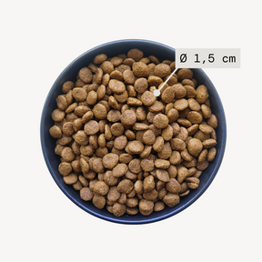 Alvar Pet Digestion/Duck koiran kuivaruoka 2 x 7 kg SÄÄSTÖPAKKAUS