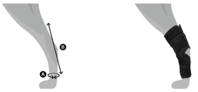 Back on Track Dixie koiran kinnersuojat