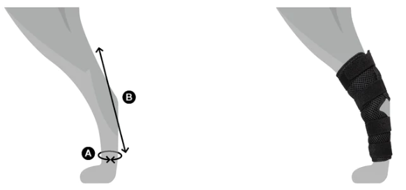 Back on Track Dixie koiran kinnersuojat