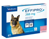 Effipro 100 mg/ml 4 x 2.68 ml paikallisvaleluliuos 20-40 kg koirille