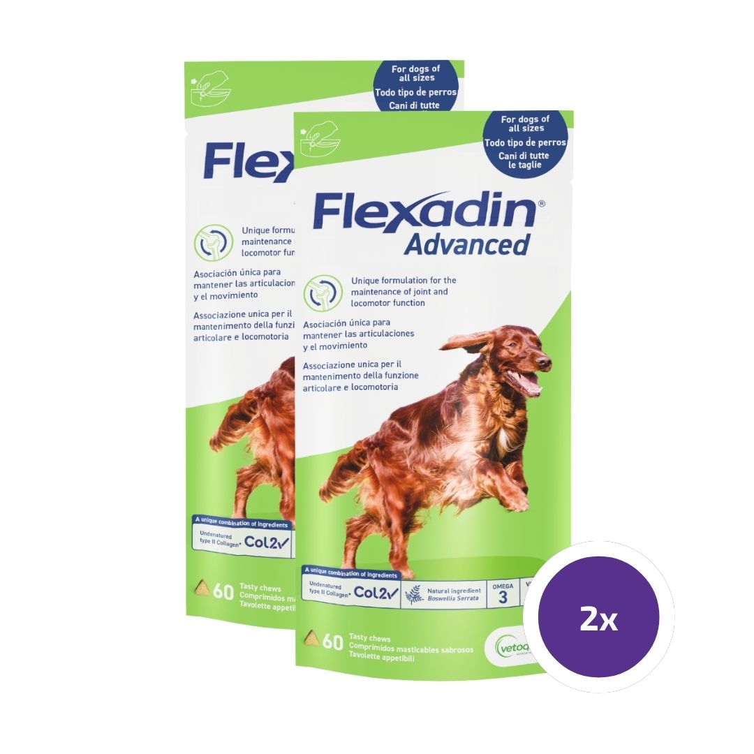 Flexadin advanced purutabletti koiralle 2 x 60 tablettia TUPLAPAKKAUS