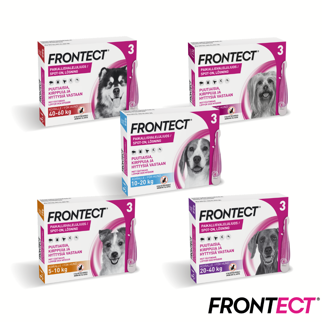 Frontect 3 x 6 ml paikallisvaleluliuos 40-60 kg koirille