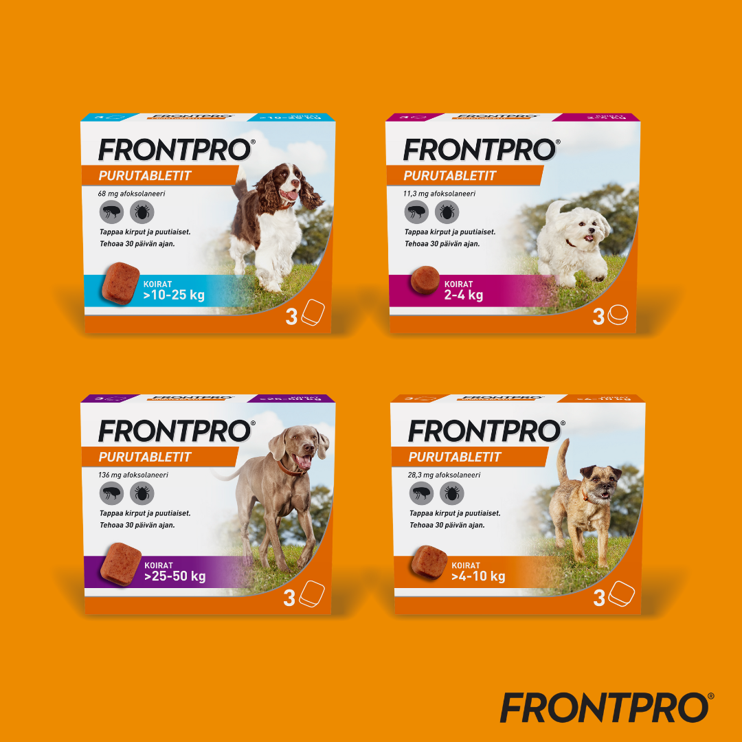 Frontpro 136 mg purutabletti 25-50 kg koiralle 3 kpl