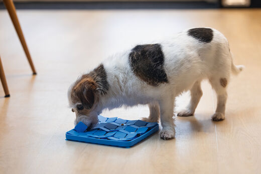 Beeztees LickMat Gourmand nuolumatto sininen 20cm