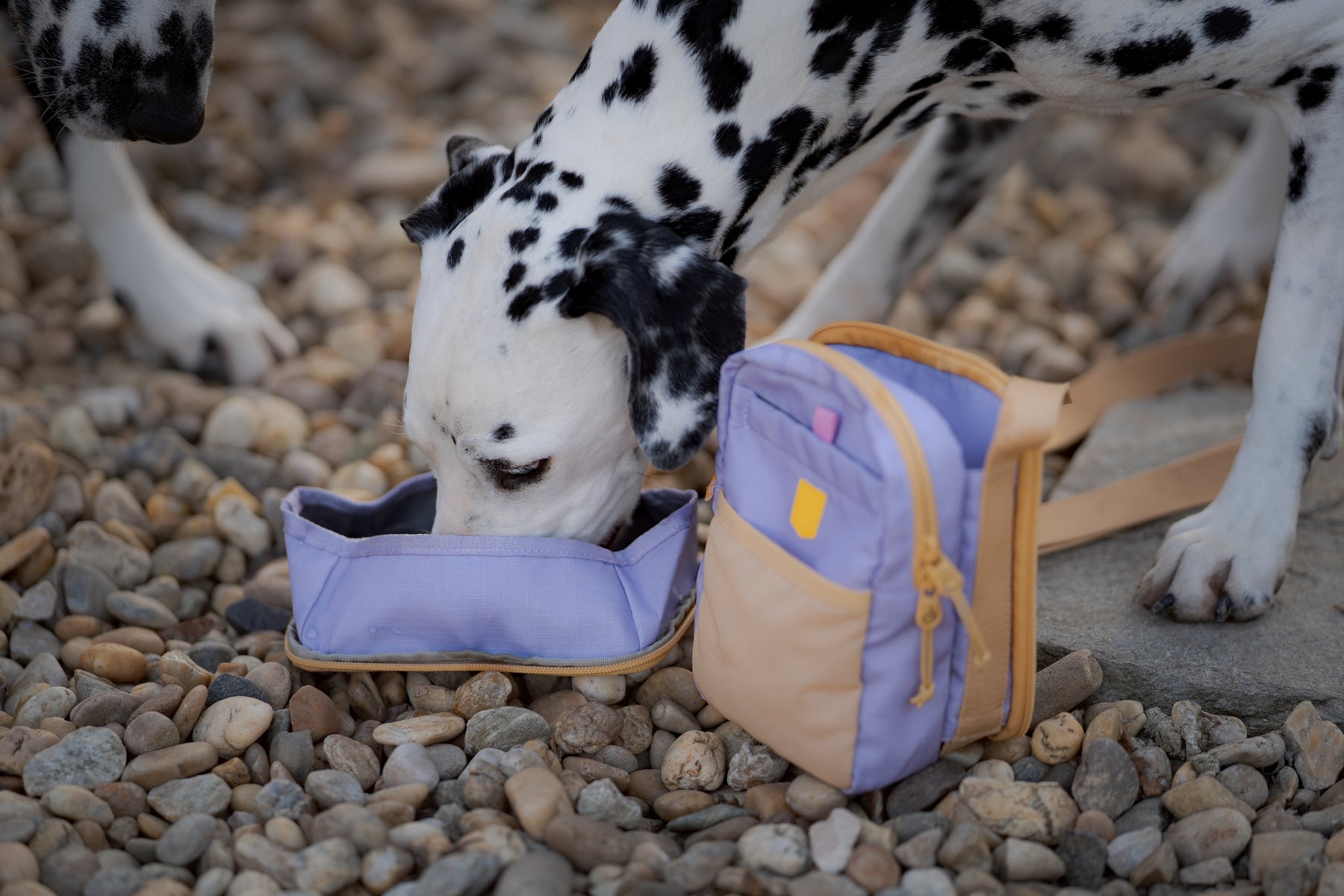 Woolly Wolf Hydration Shoulder Bag + JUOMAPULLO KAUPAN PÄÄLLE