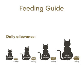 Applaws Kissa Kitten Chicken 2 kg