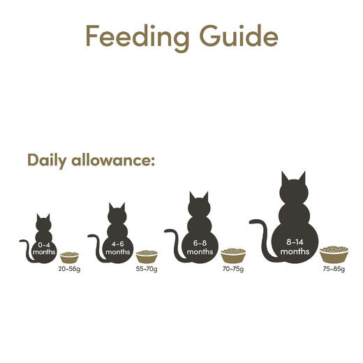 Applaws Kissa Kitten Chicken 2 kg