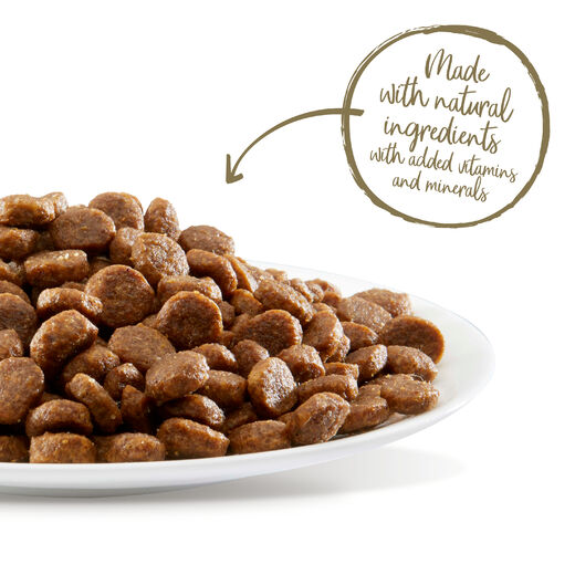 Applaws Kissa Kitten Chicken 2 kg