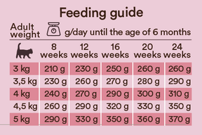 Monster Cat Baby Mousse 100 g MAISTELUPAKKAUS