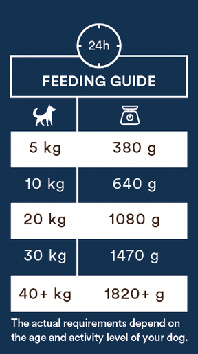 Monster Dog Adult Sensitive Fish koiralle 400 g MAISTELUPAKKAUS