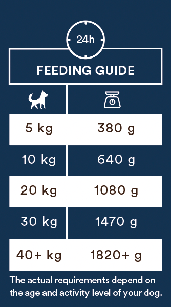 Monster Dog Adult Sensitive Fish koiralle 6 x 400 g