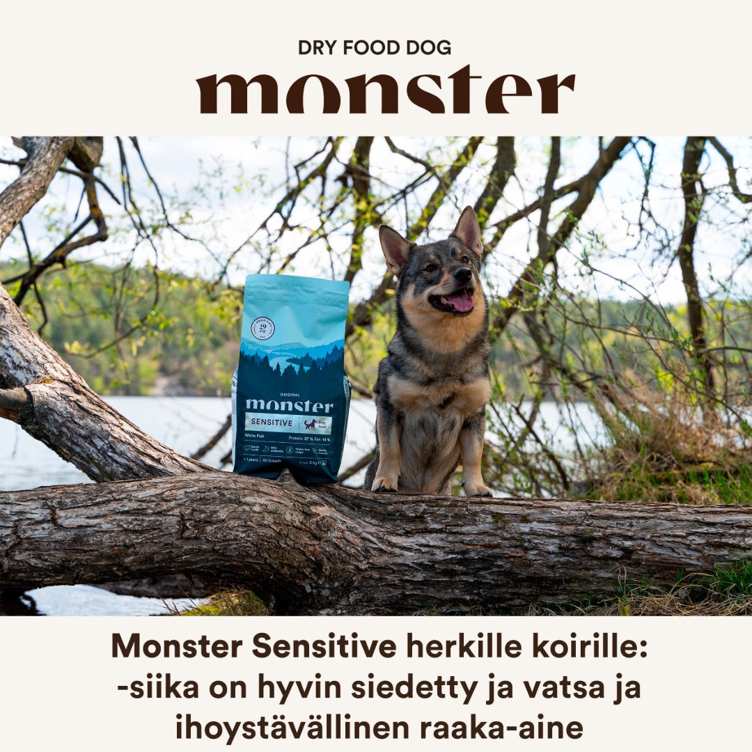 Monster Dog Original Adult Sensitive White Fish koiralle 2 kg