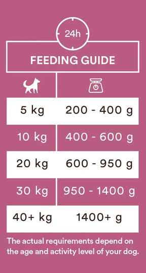 Monster Dog Adult Single Protein Pork koiralle 6 x 400 g