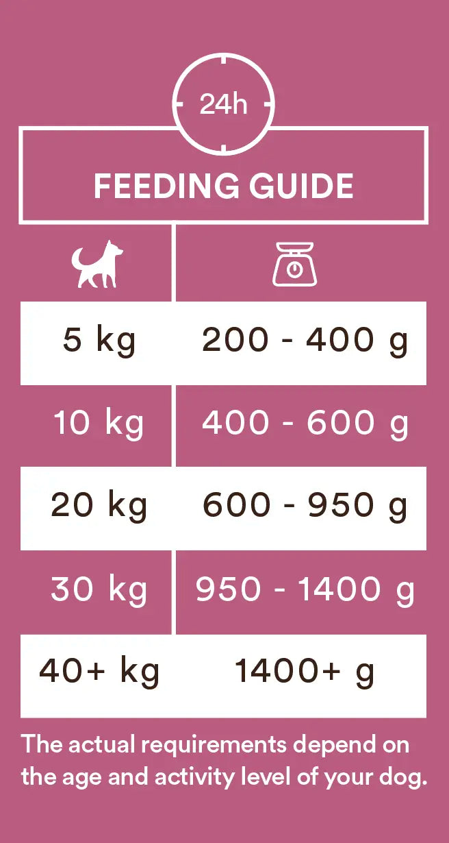 Monster Dog Adult Single Protein Pork koiralle 6 x 400 g