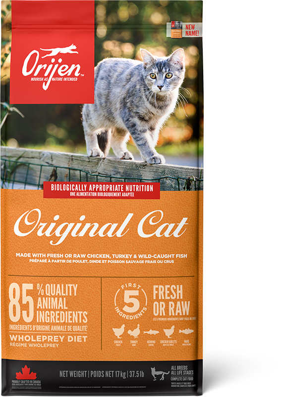 Orijen Cat Original kissalle