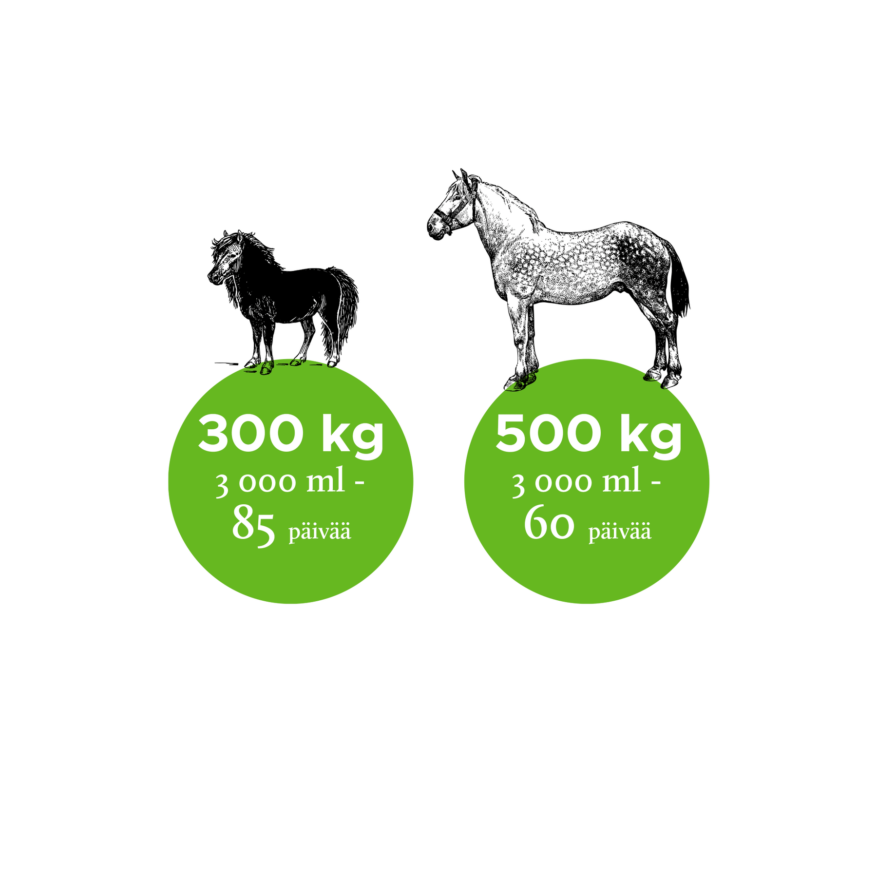 Nutrolin Horse Skin & Coat hevoselle 3000 ml