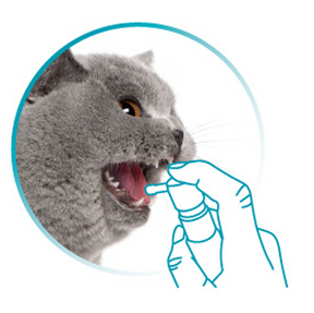 VETdicate Oral-Relax suusuihke koirille ja kissoille 20 ml