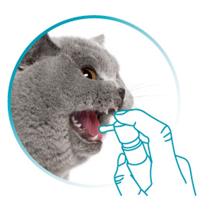 VETdicate Oral-Relax suusuihke koirille ja kissoille 20 ml
