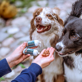 PrimaDog Treenimakkara Villisika koiralle 80 g
