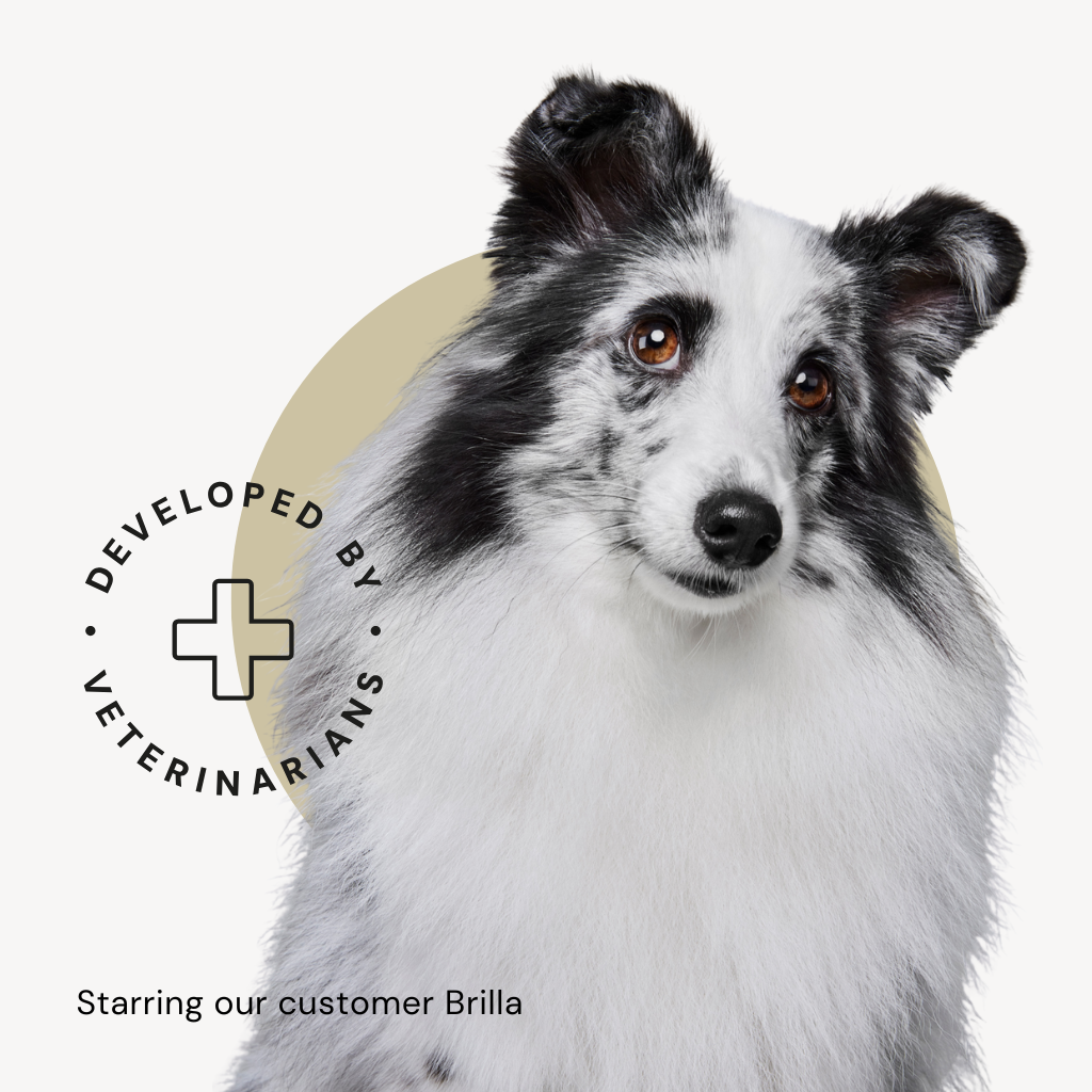 Alvar Pet Puppy/Chicken koiran kuivaruoka