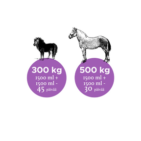 Nutrolin Horse Joint Duo hevoselle 3000 ml