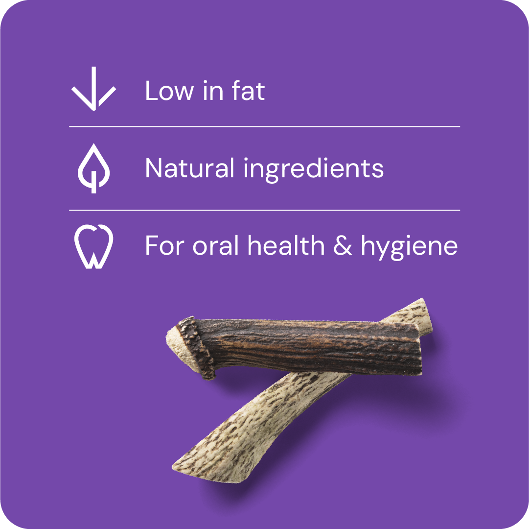 Nutriment Split Antler L - Peuran sarvi 1 kpl