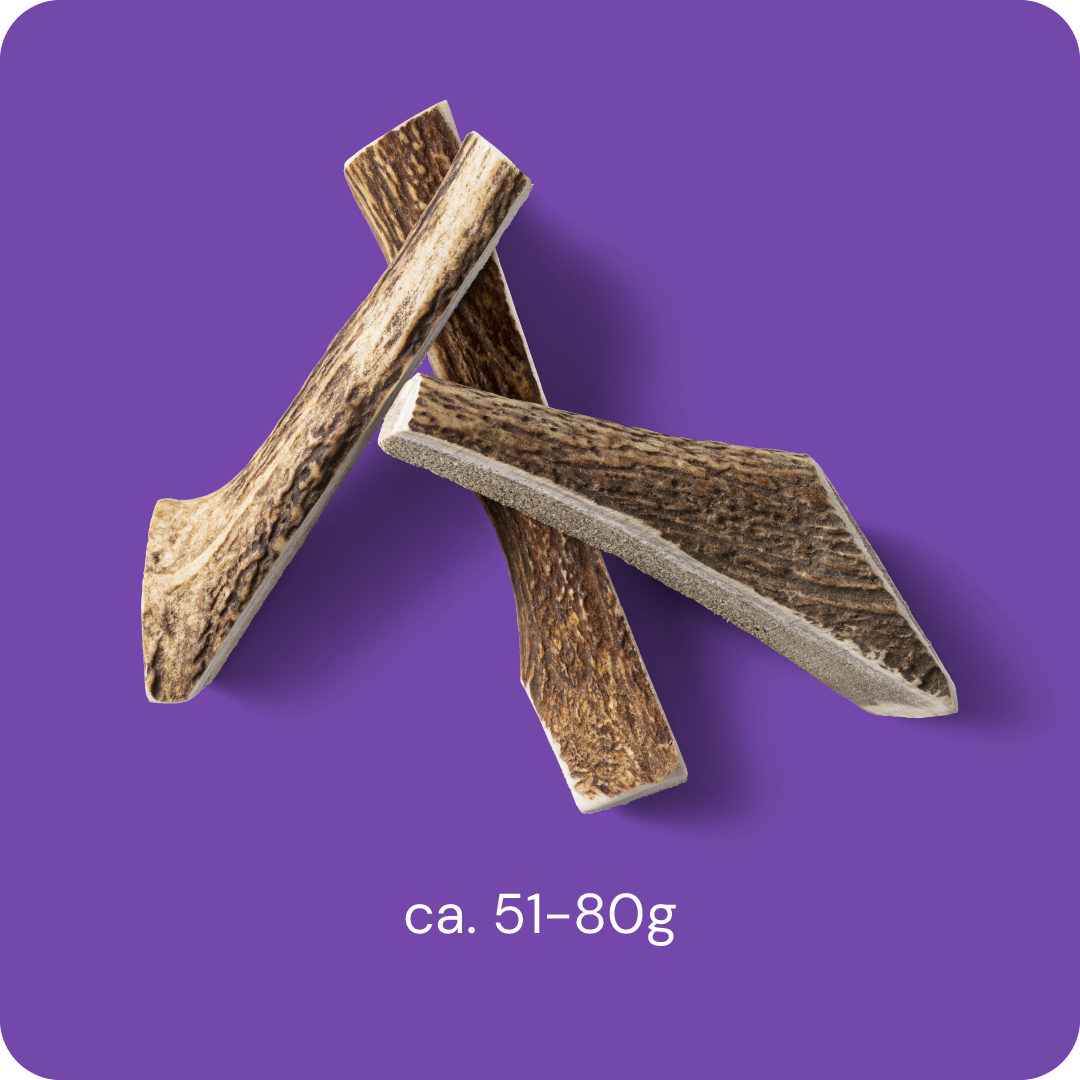Nutriment Split Antler M - Peuran sarvi 1 kpl