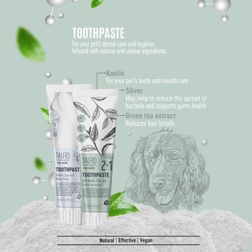 Tauro Pro Line Pure Nature Hammastahna teeuutteella 100ml
