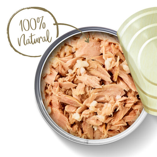 Applaws Kissa Tonnikala 24 x 156 g