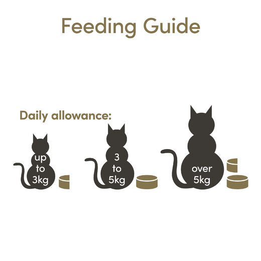 Applaws Kissa Tonnikala 24 x 156 g