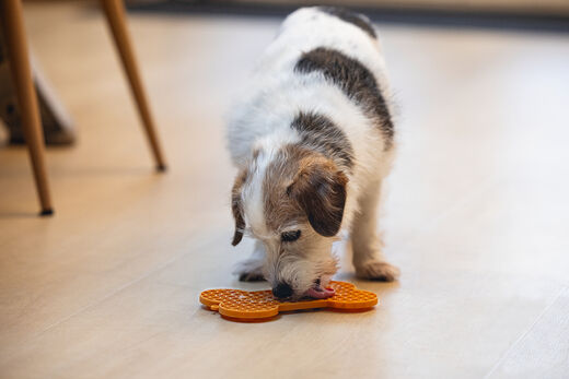 Beeztees LickMat Bone nuolumatto oranssi 18cm