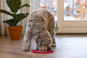 Beeztees LickMat Hexagon nuolumatto punainen 23 x 20 cm