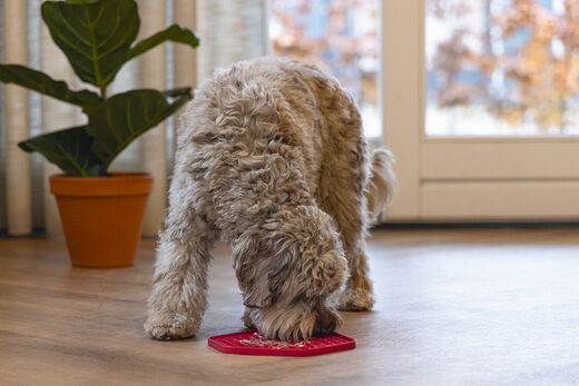 Beeztees LickMat Hexagon nuolumatto punainen 23 x 20 cm